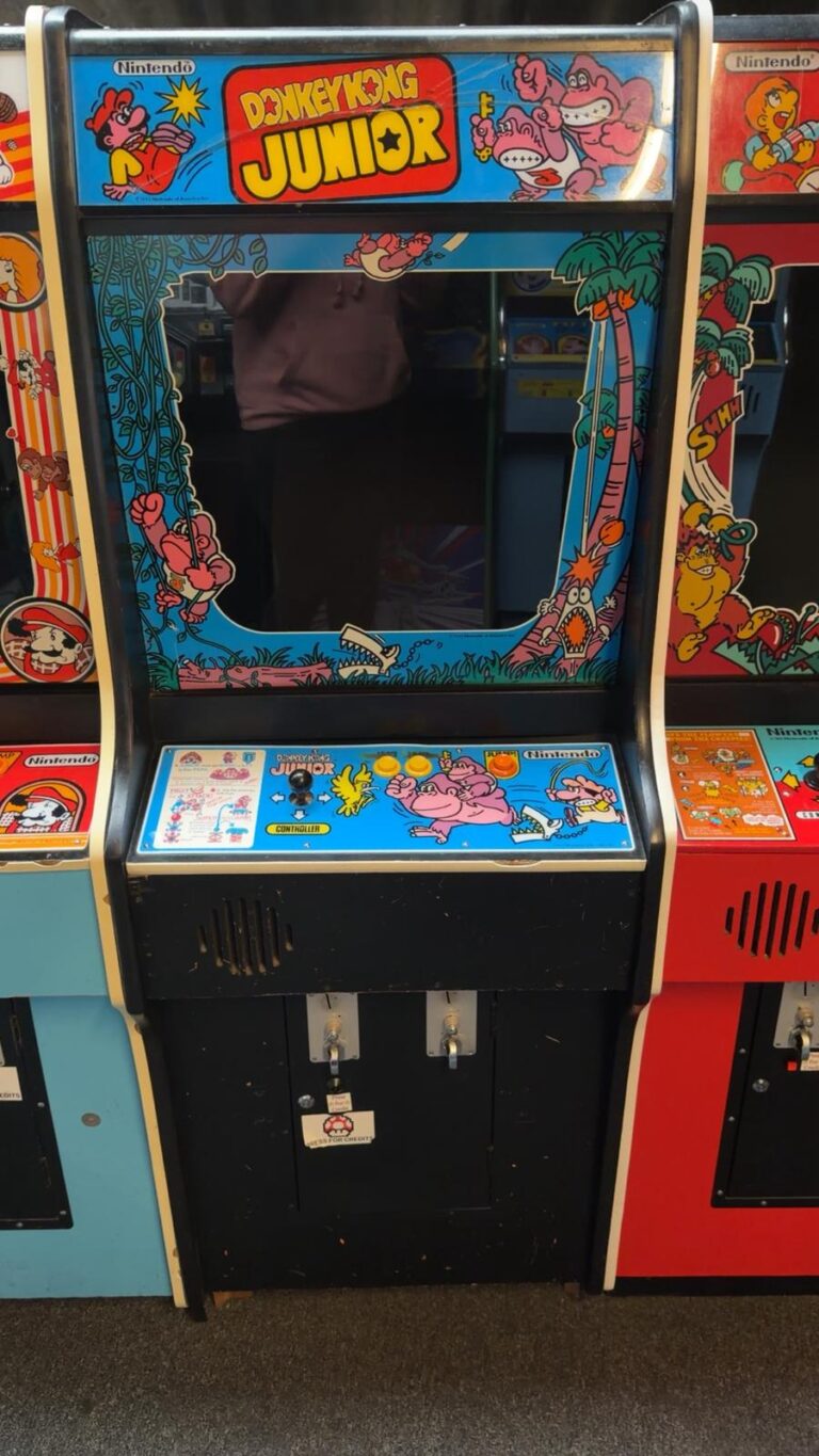 Donkey Kong Junior